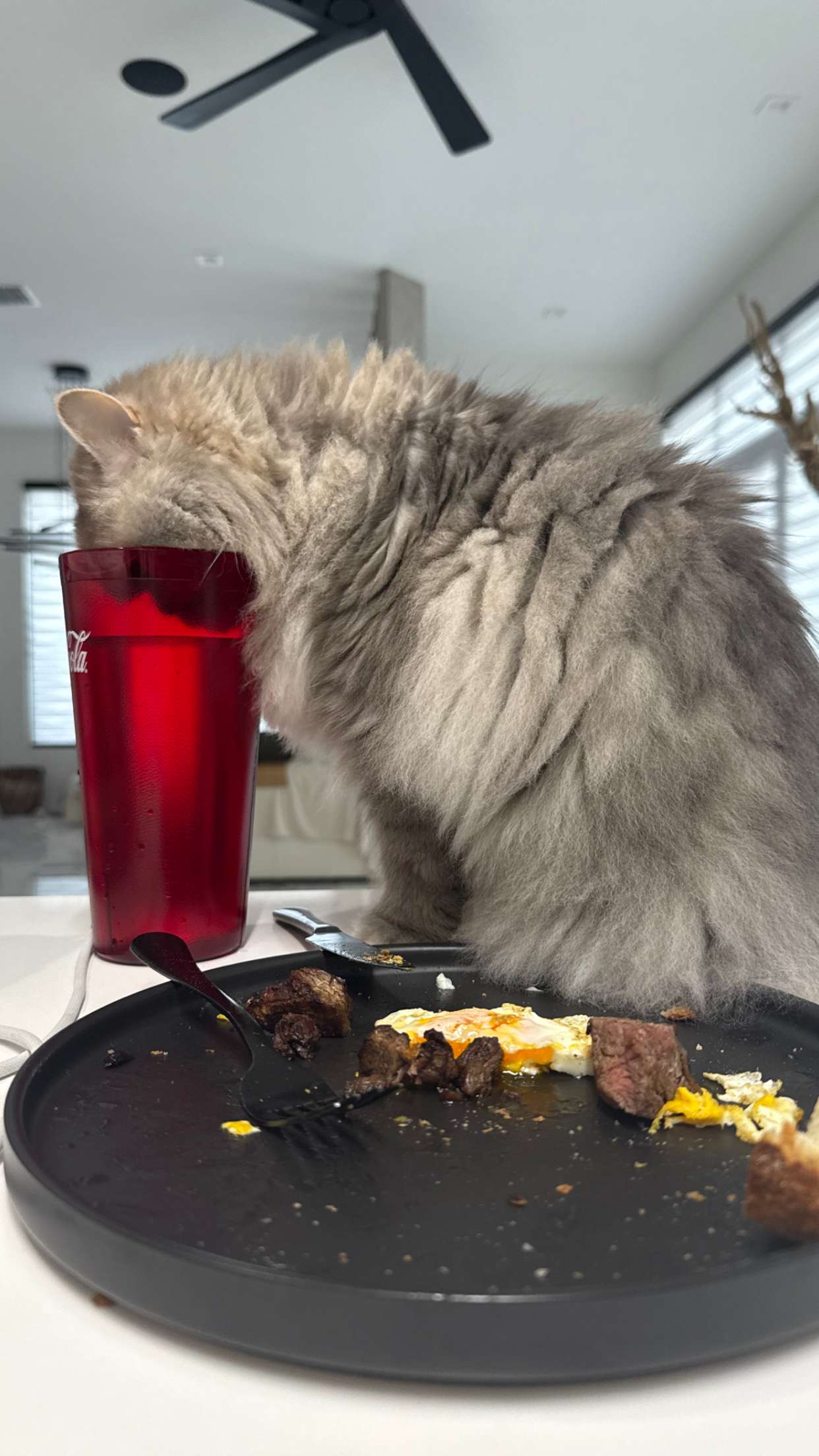 yaslenxoxo snapchat image archive image