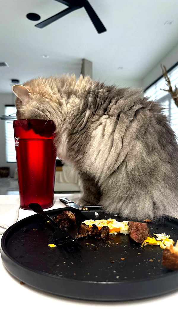 yaslenxoxo image ~ Altpins