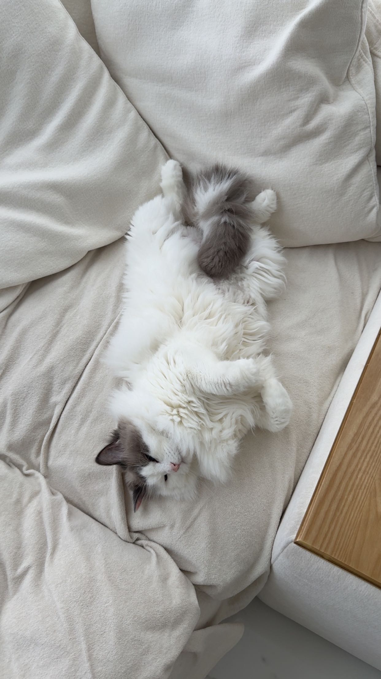 yaslenxoxo snapchat image archive image