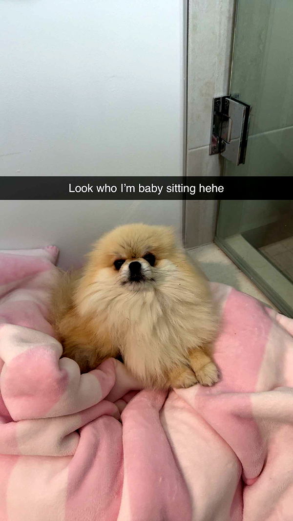 yaslenxoxo image ~ Altpins