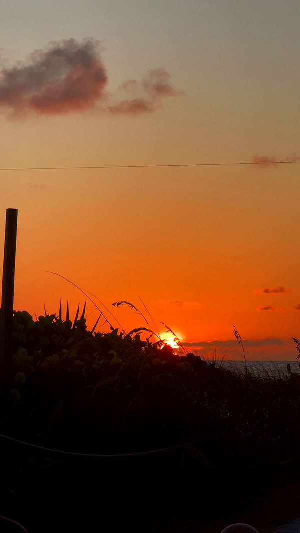 yaslenxoxo image ~ Altpins