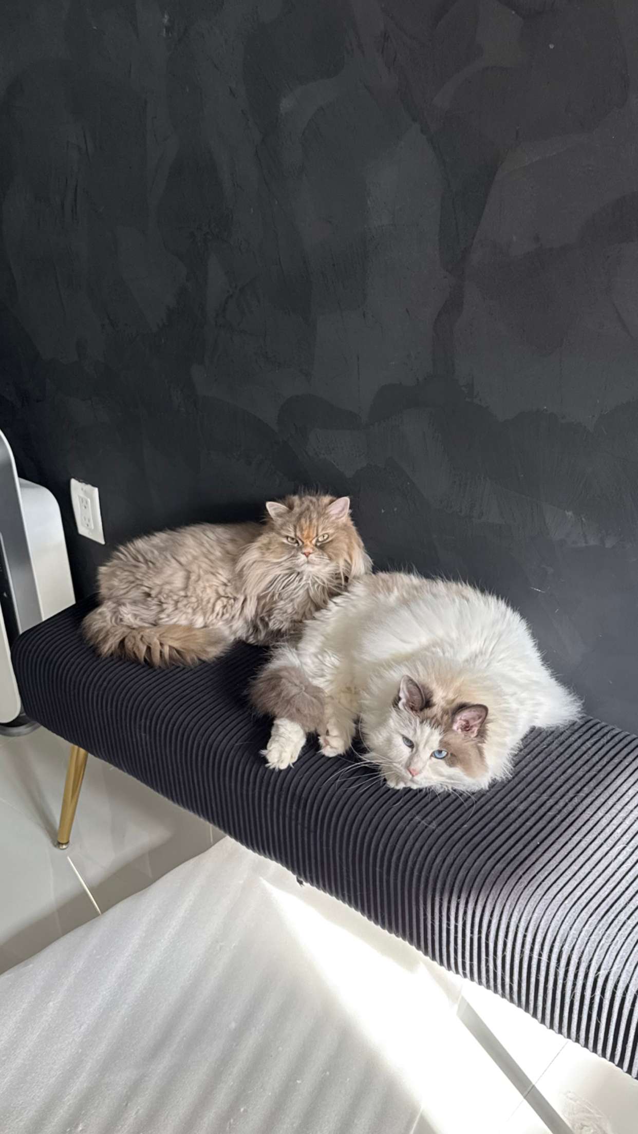 yaslenxoxo snapchat image archive image