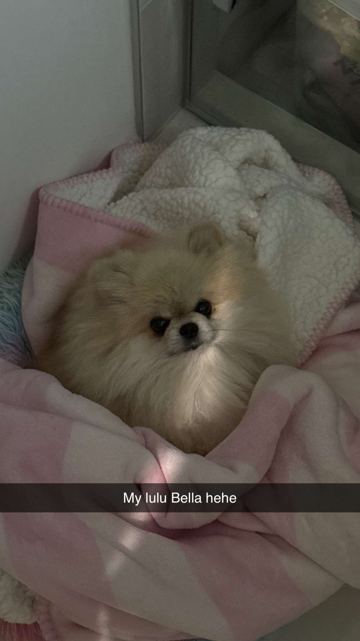 yaslenxoxo snapchat image archive image