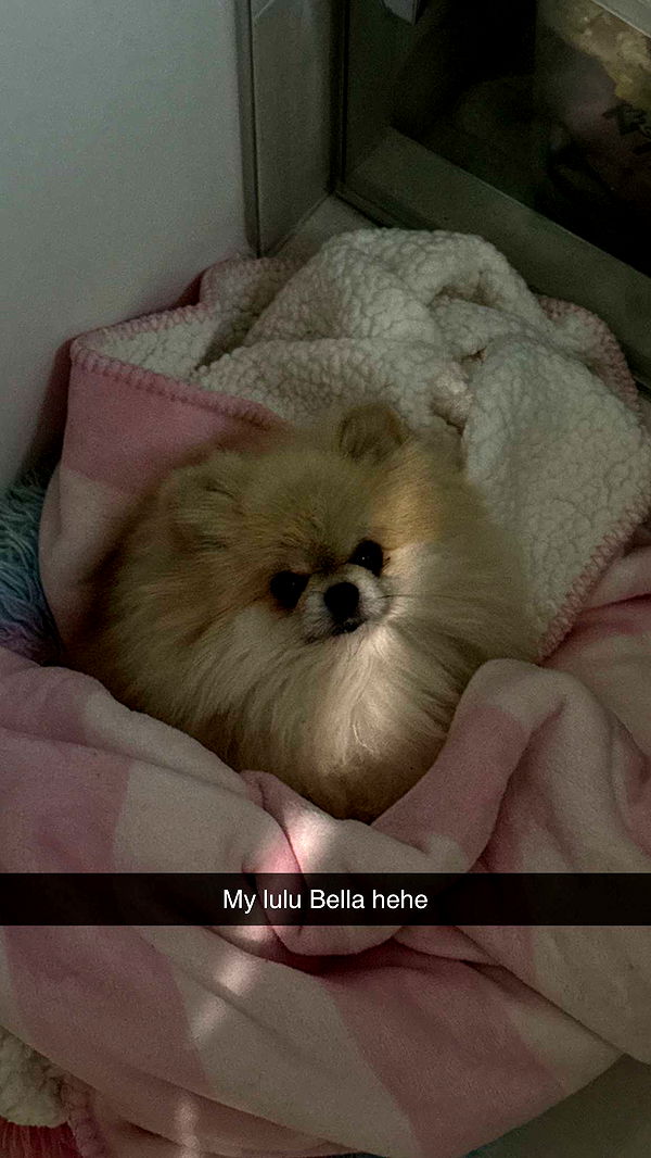 yaslenxoxo image ~ Altpins