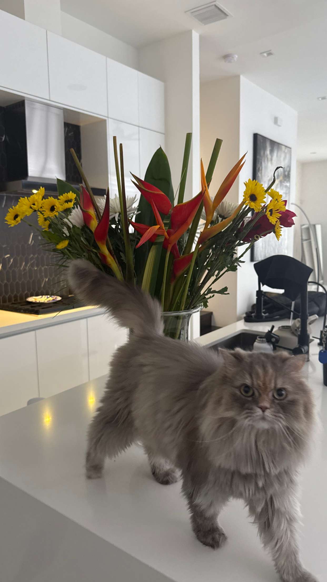 yaslenxoxo snapchat image archive image