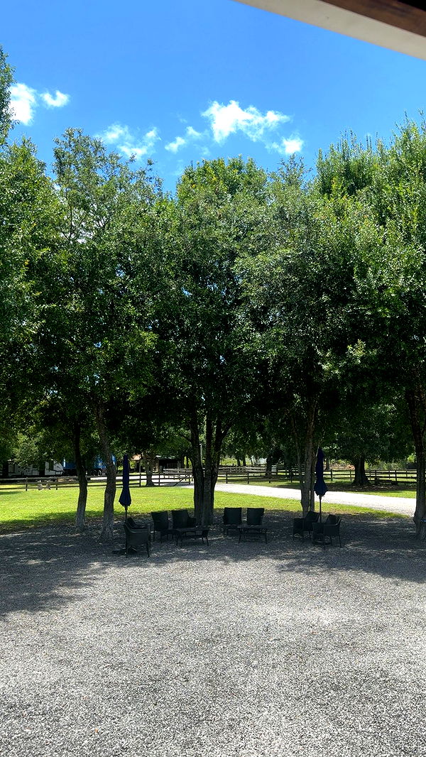 yaslenxoxo image ~ Altpins