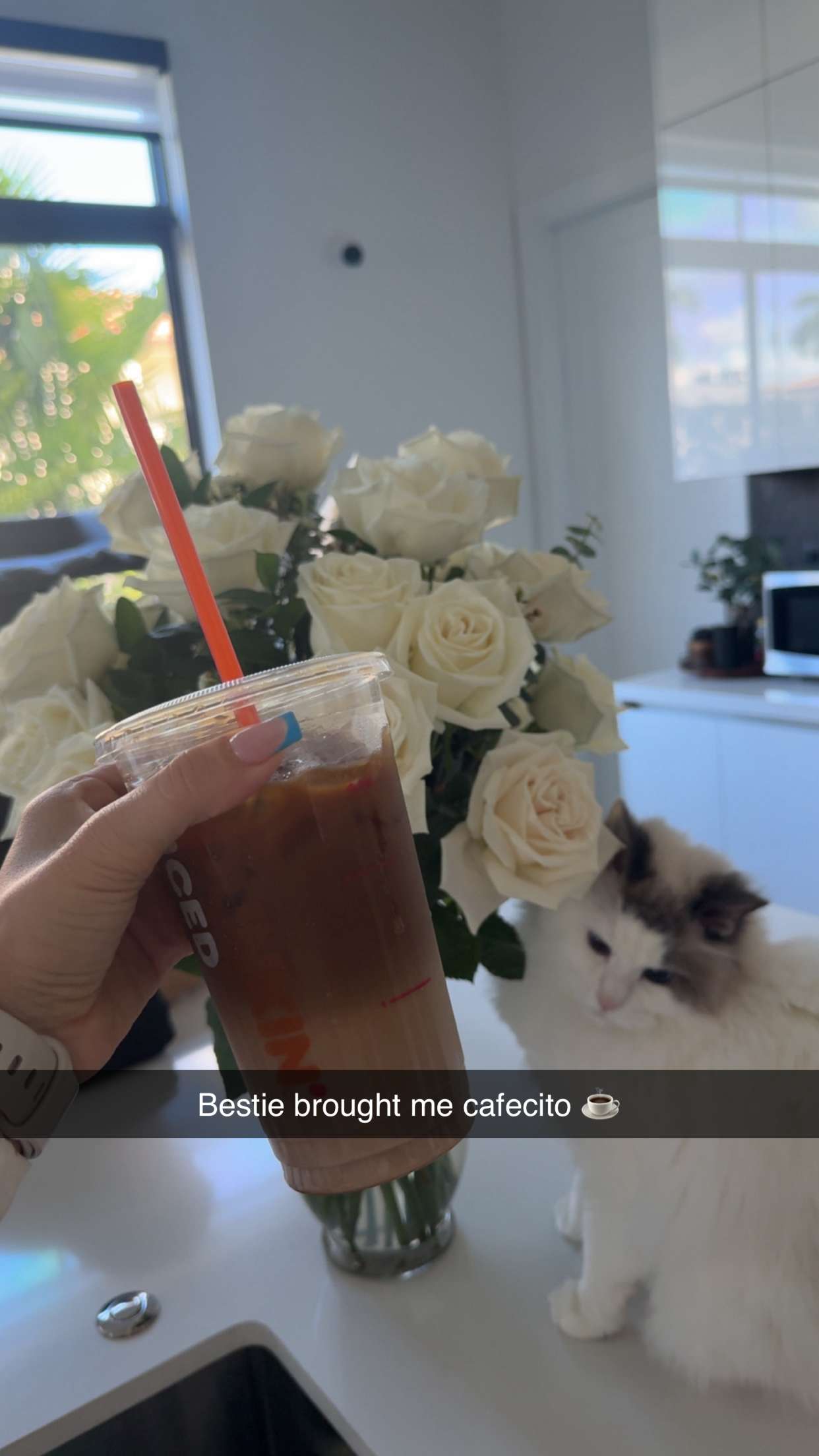 yaslenxoxo snapchat image archive image