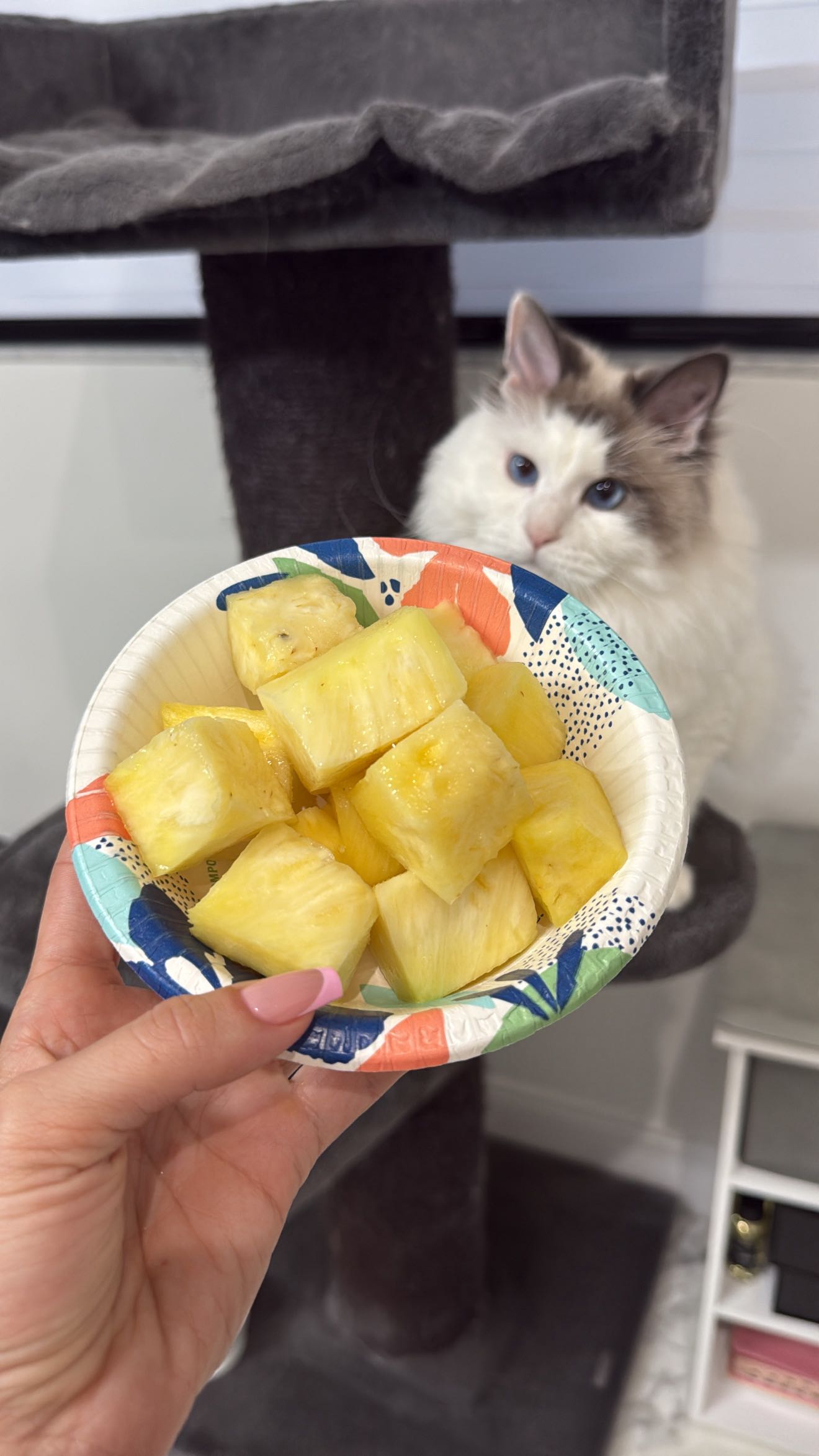 yaslenxoxo snapchat image archive image