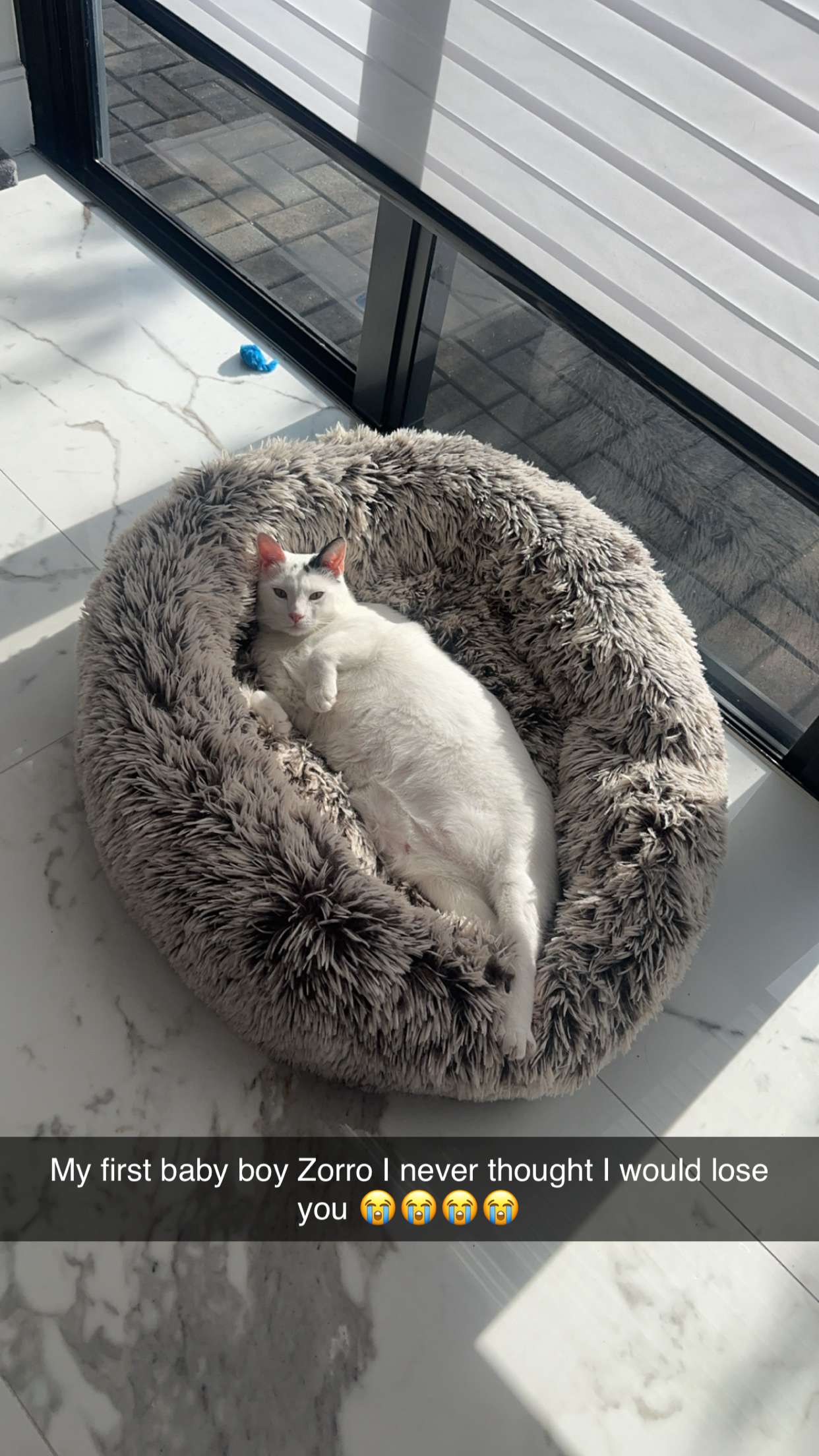 yaslenxoxo snapchat image archive image