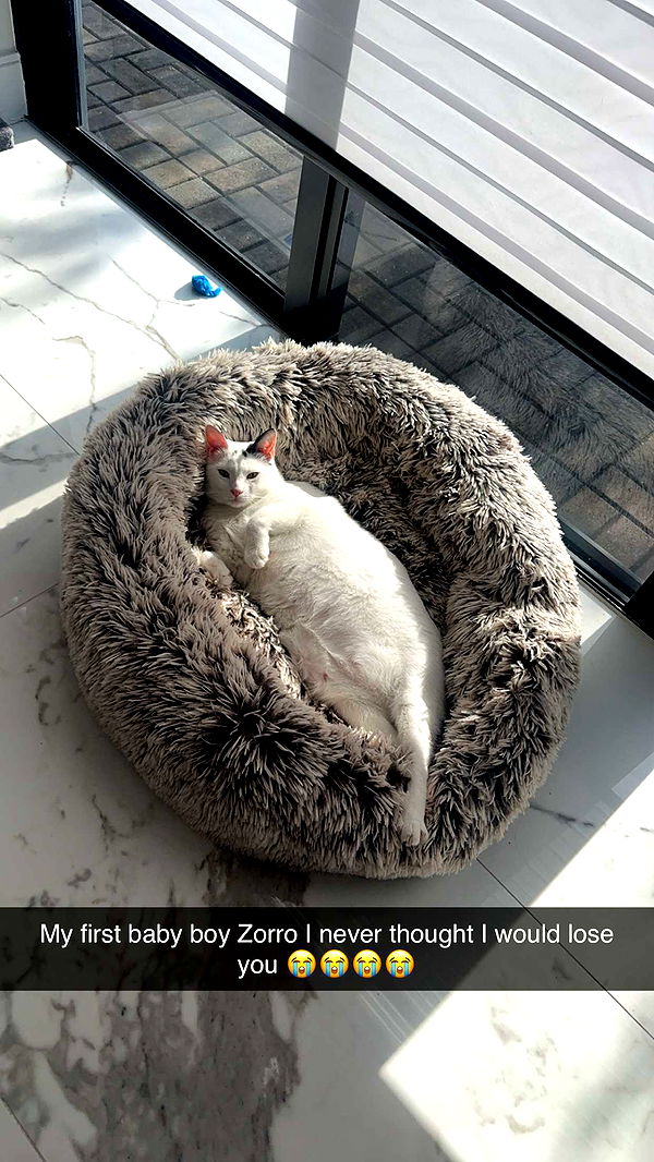 yaslenxoxo image ~ Altpins