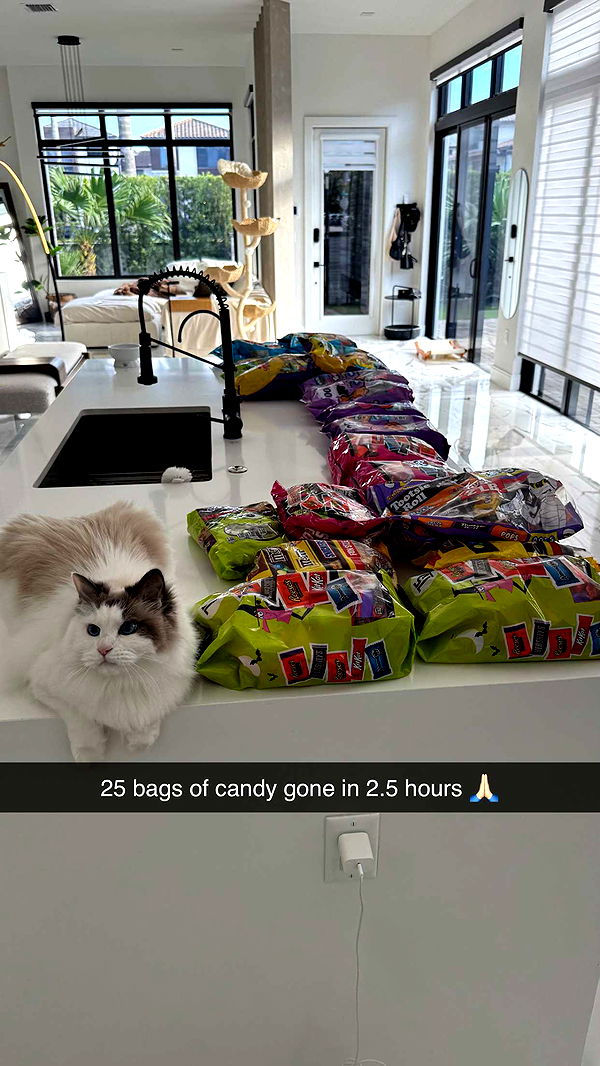 yaslenxoxo image ~ Altpins