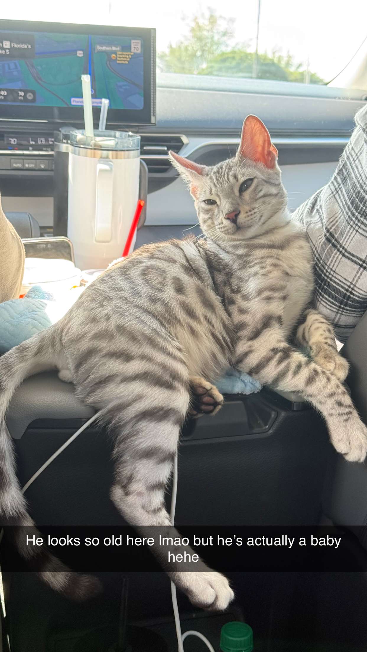 yaslenxoxo snapchat image archive image