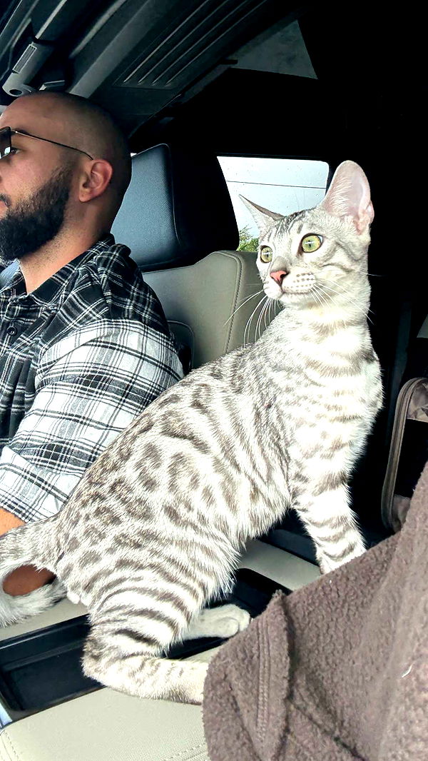 yaslenxoxo image ~ Altpins