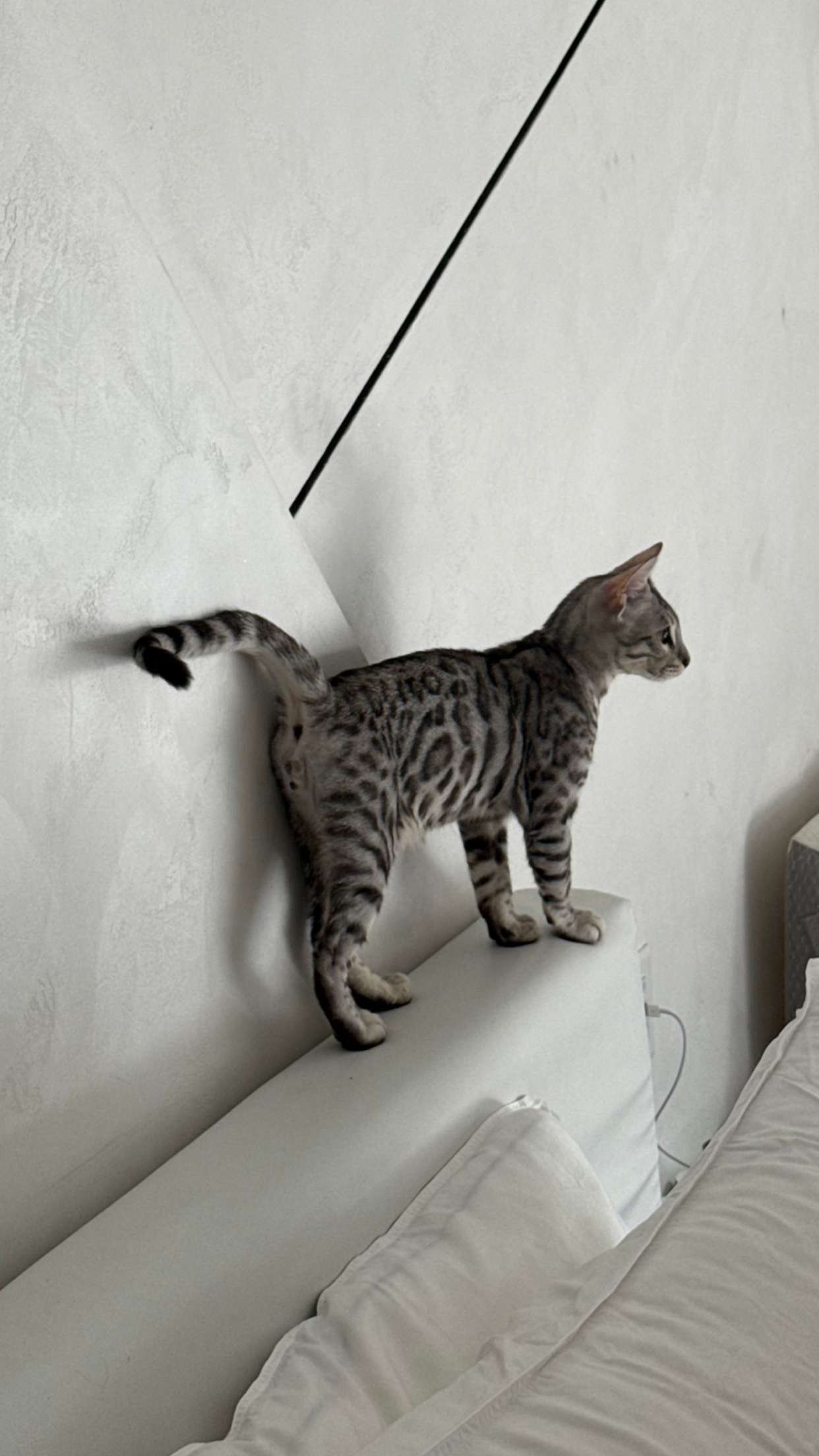 yaslenxoxo snapchat image archive image