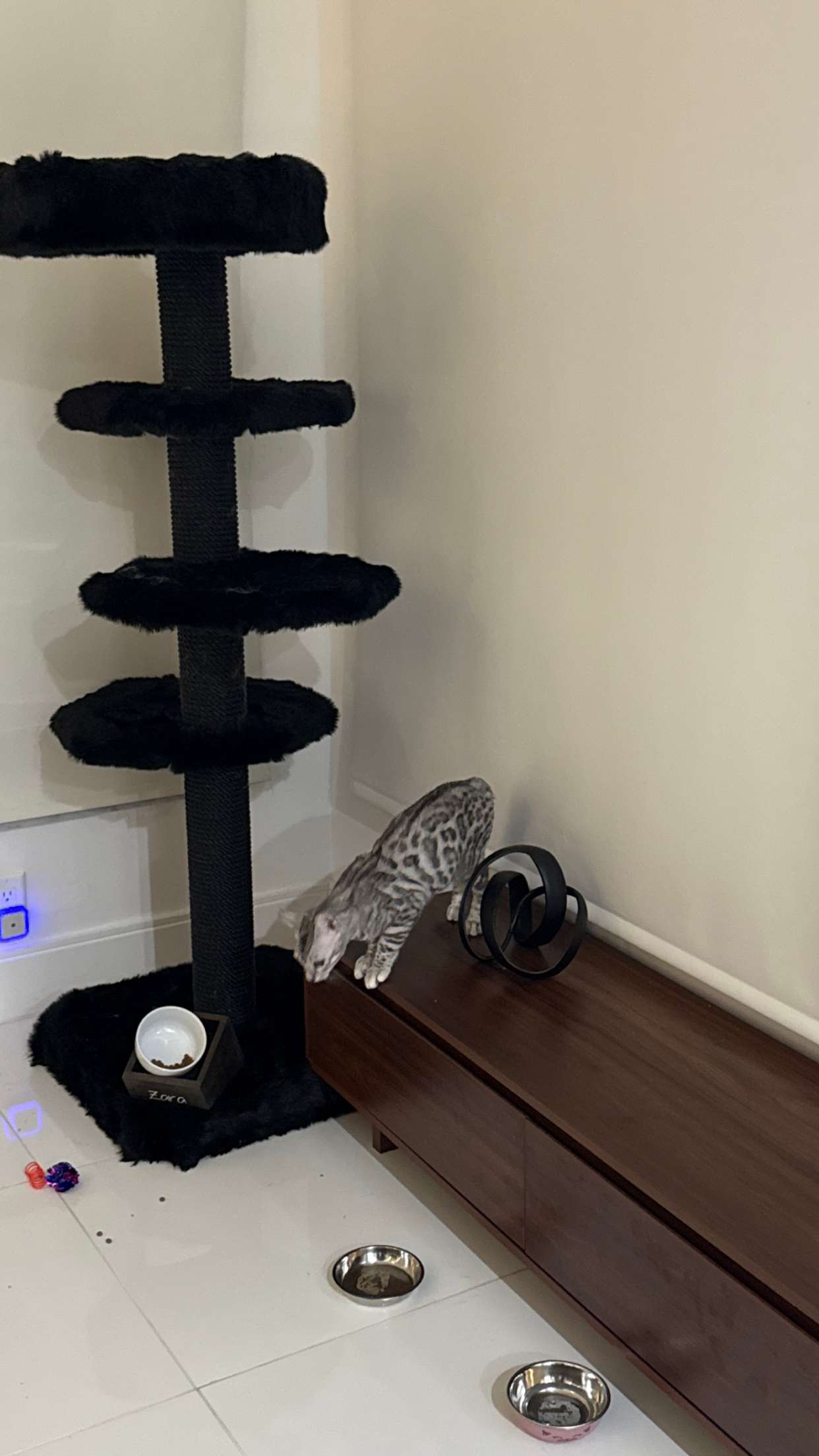 yaslenxoxo snapchat image archive image