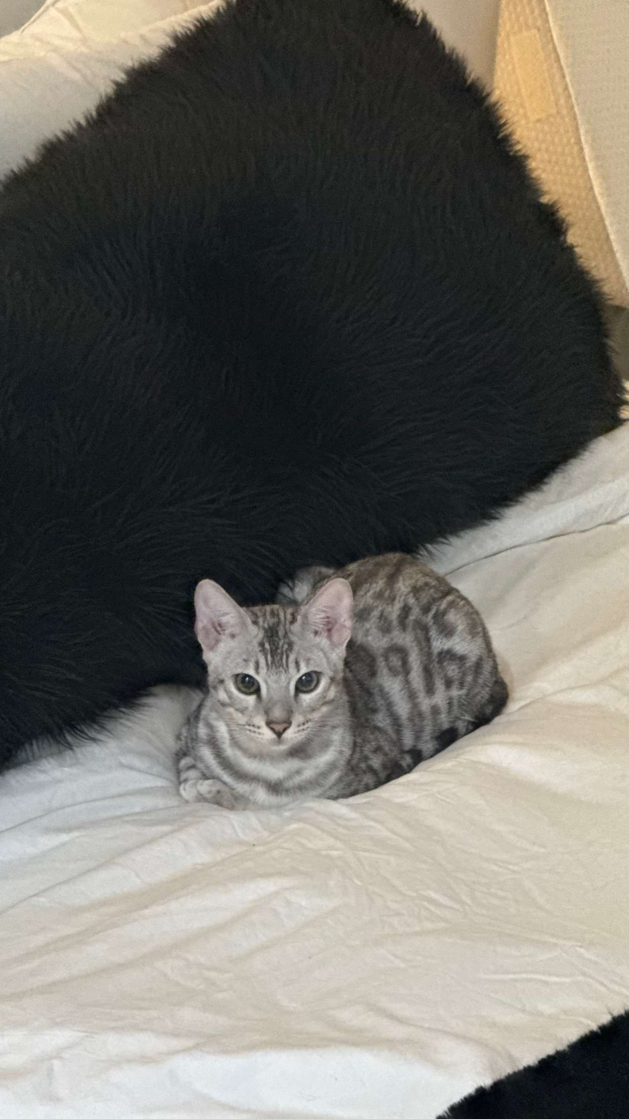 yaslenxoxo snapchat image archive image