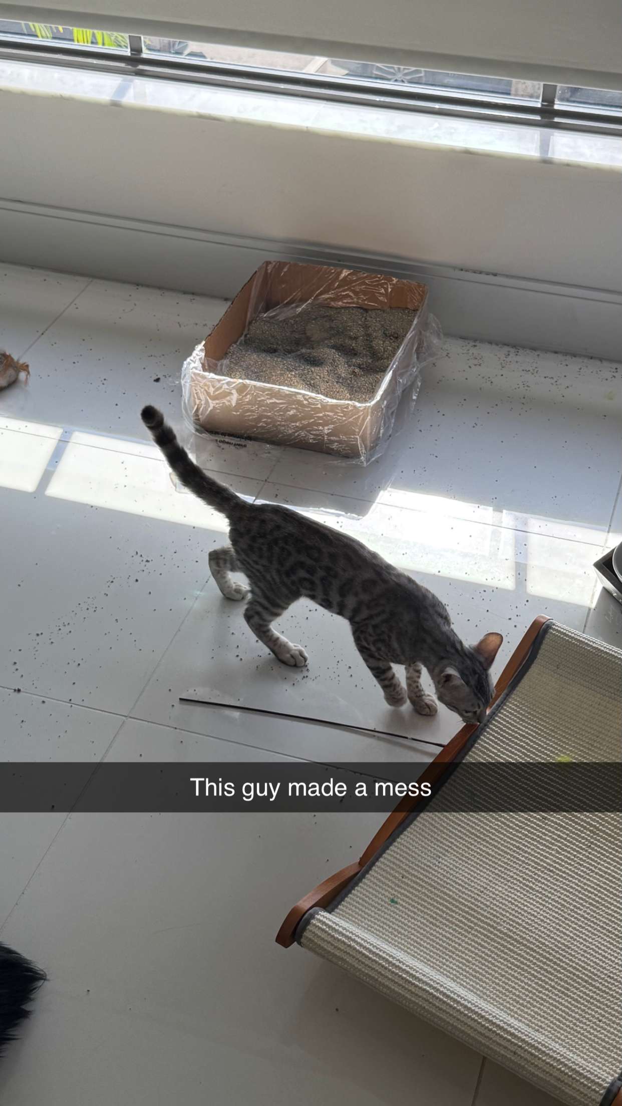 yaslenxoxo snapchat image archive image