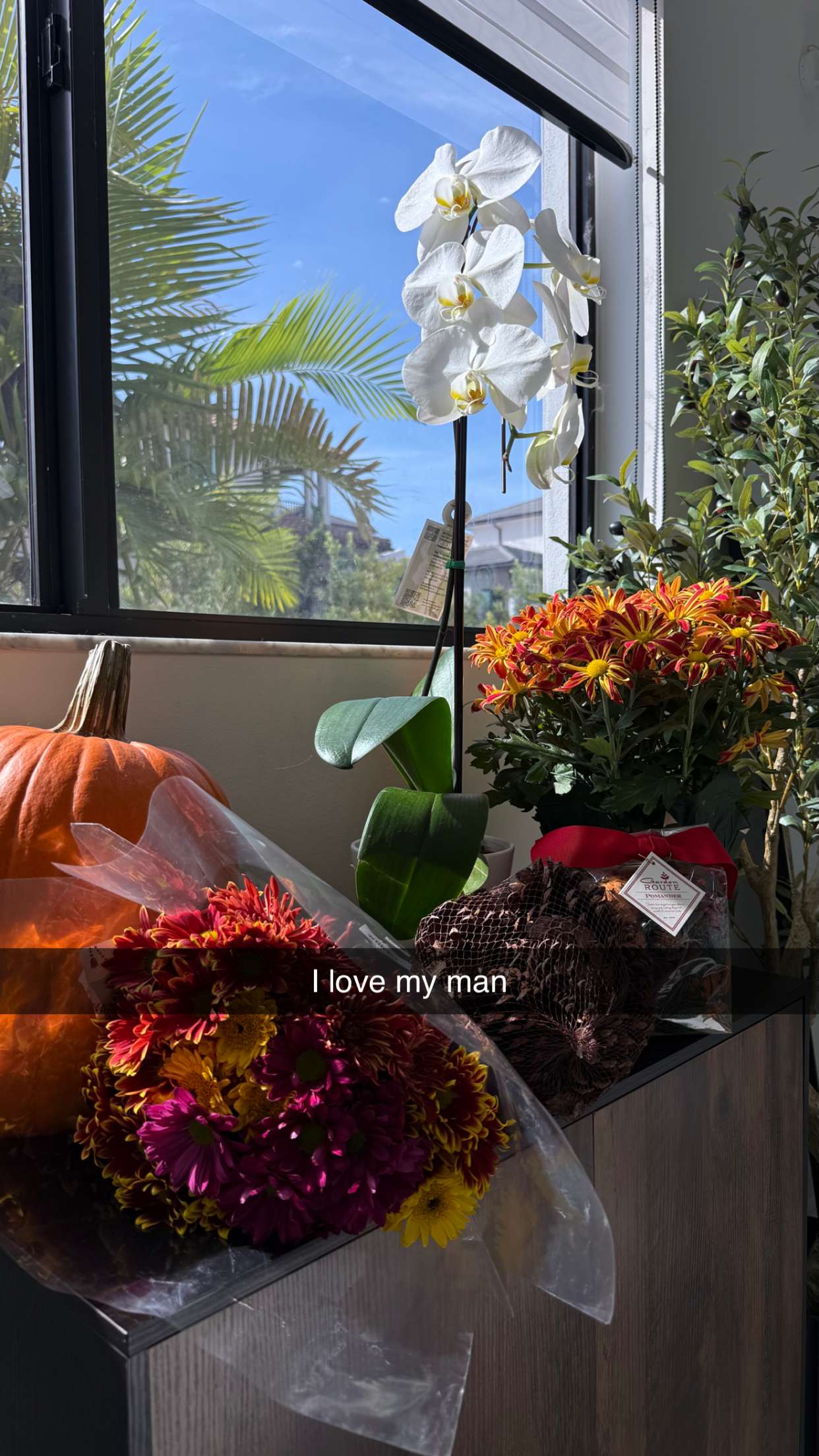 yaslenxoxo snapchat image archive image