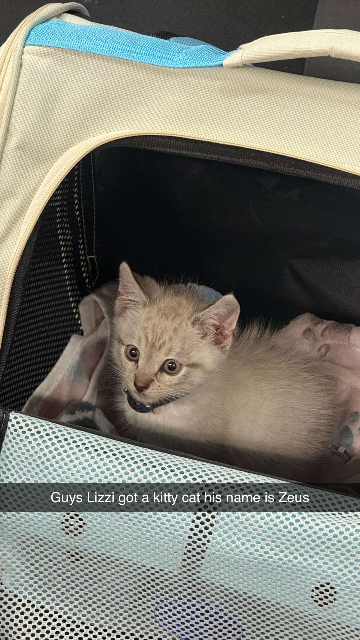 yaslenxoxo snapchat image archive image