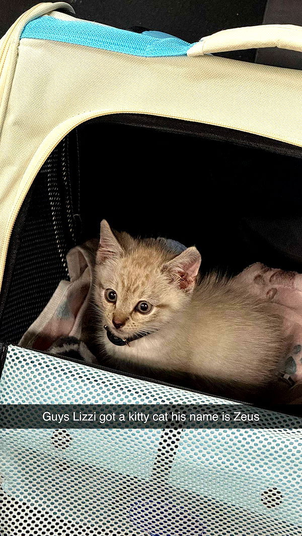 yaslenxoxo image ~ Altpins