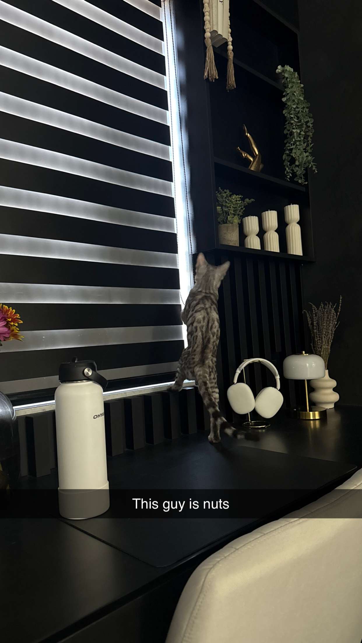 yaslenxoxo snapchat image archive image