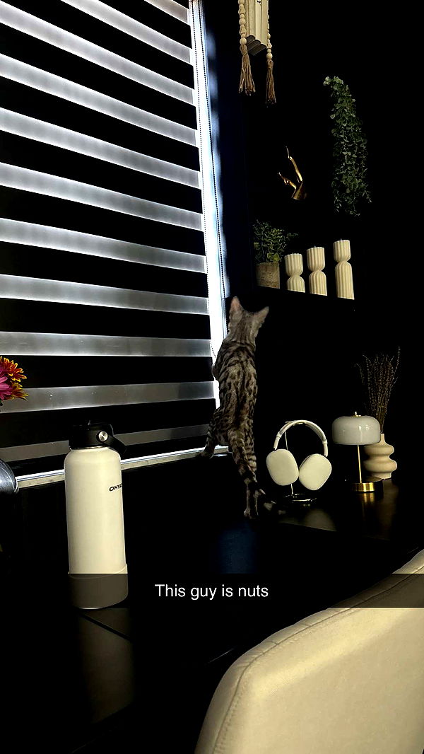 yaslenxoxo image ~ Altpins