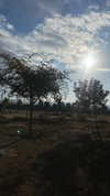 0r_medina Altpins Profile Picture
