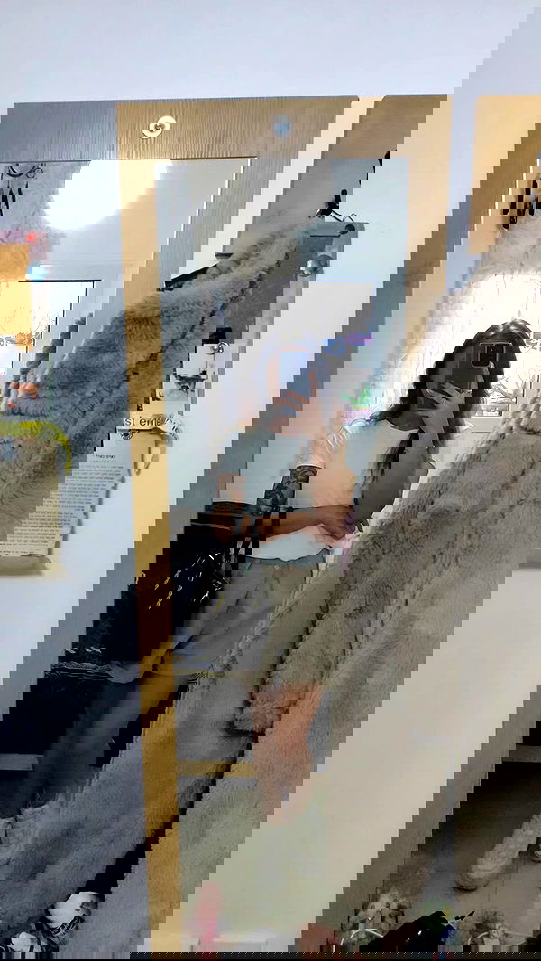 1justsabi 1justsabi archive image