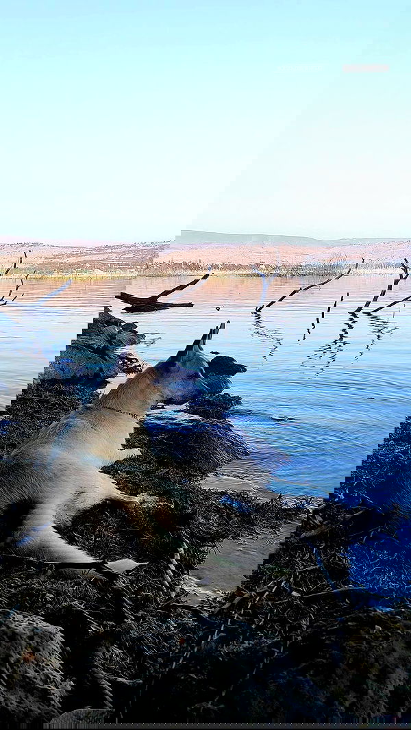 1justsabi 1justsabi archive image