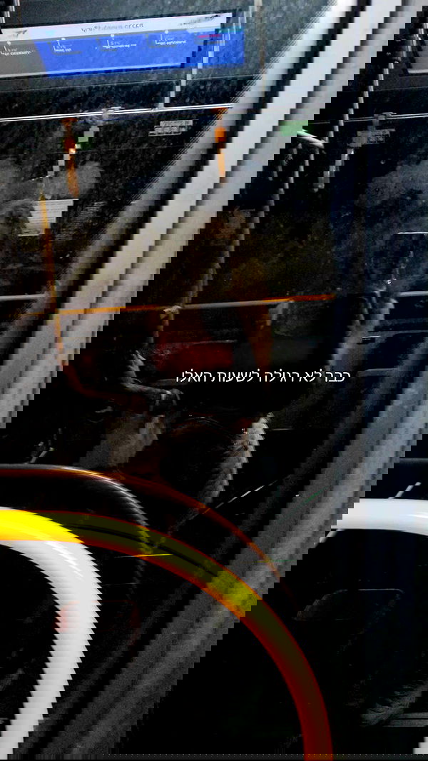 1justsabi 1justsabi archive image