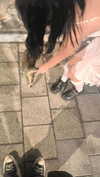 3liraz Altpins Profile Picture