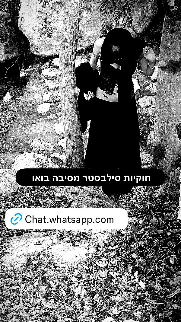 444m1t 444m1t archive image