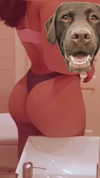 Unknown Altpins Profile Picture