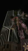 __.morf.__ Altpins Profile Picture