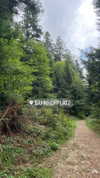 ___.ilana._ Altpins Profile Picture