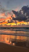 ___.ilana._ Altpins Profile Picture
