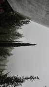 ___.ilana._ Altpins Profile Picture