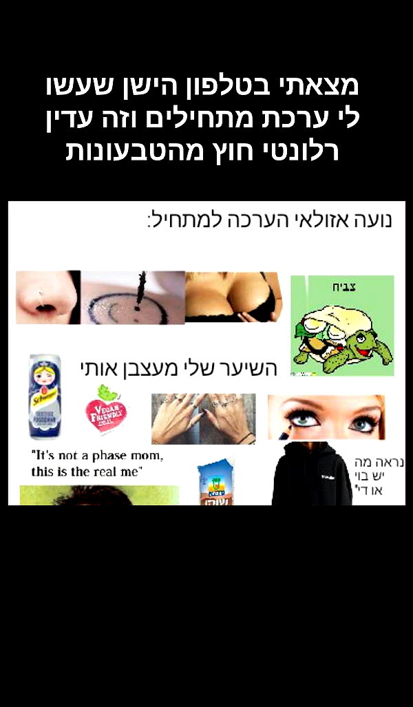 __koolkat_ __koolkat_ archive image