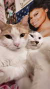 __koolkat_ Altpins Profile Picture