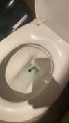 __noamche__ Altpins Profile Picture