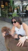 __noamche__ Altpins Profile Picture
