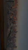 __yaheli_ Altpins Profile Picture