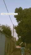 __yaheli_ Altpins Profile Picture