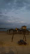 __yaheli_ Altpins Profile Picture