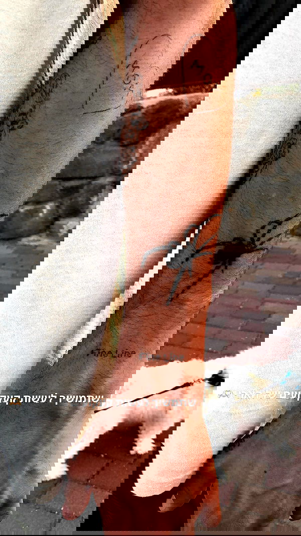 _adidahan image ~ Altpins