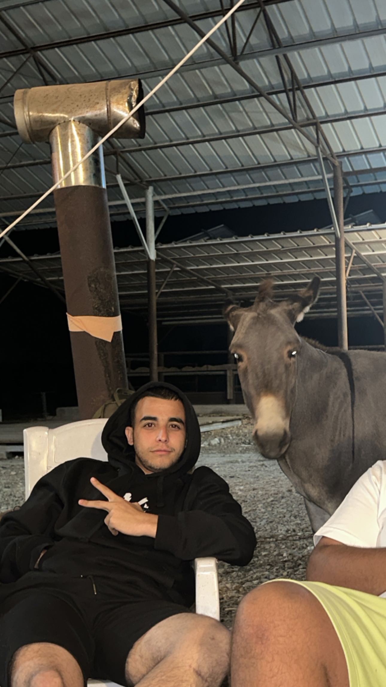 _adidahan instagram image archive image