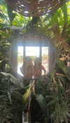 _adidahan Altpins Profile Picture