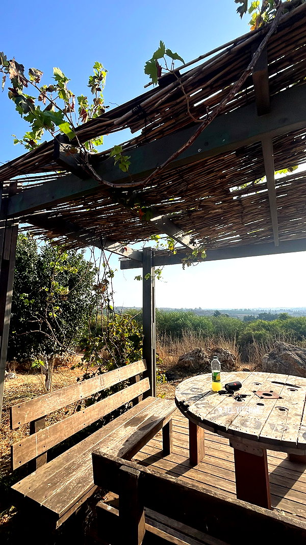 _ariel_lll instagram image archive image