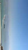 _ariel_lll Altpins Profile Picture