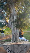 _ariel_lll Altpins Profile Picture